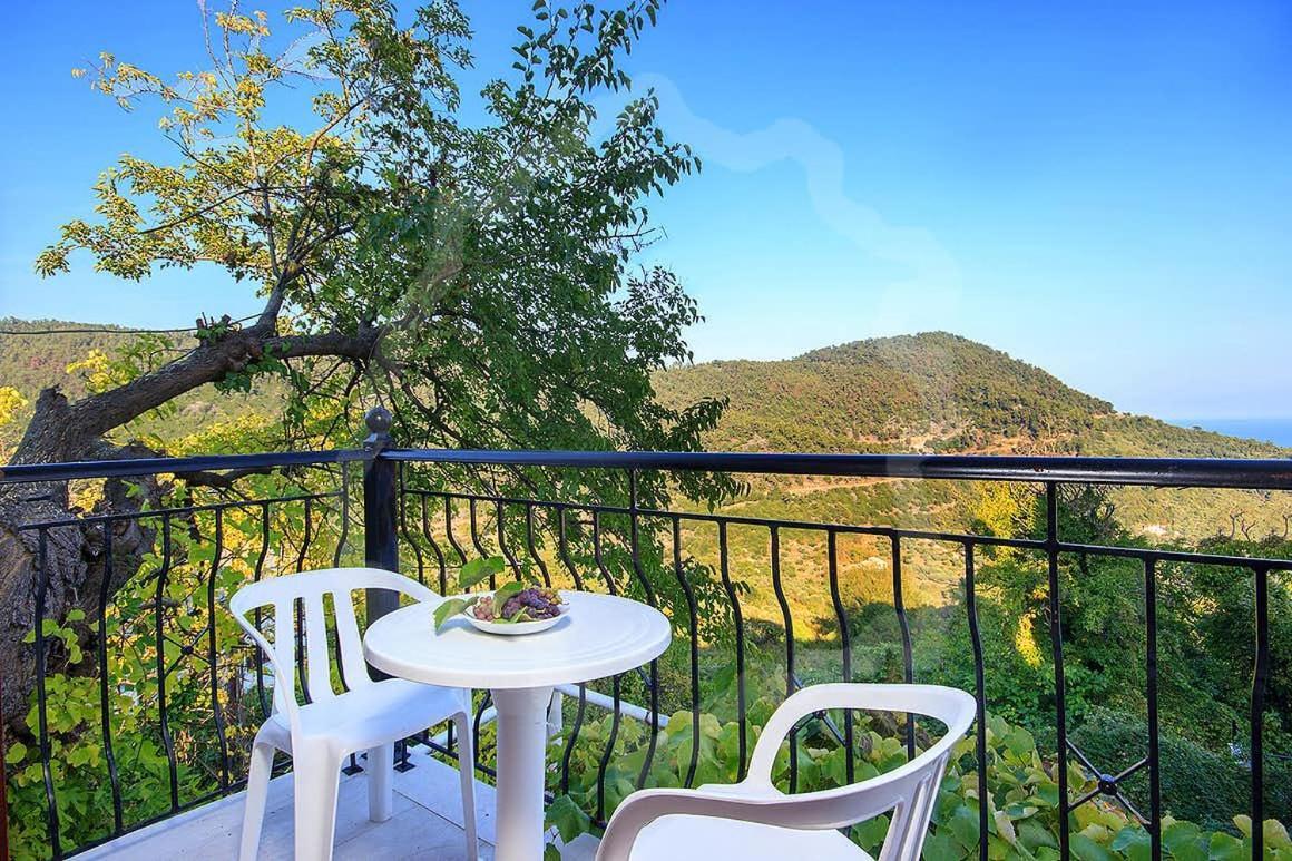 Zeus Guesthouse パナギア エクステリア 写真